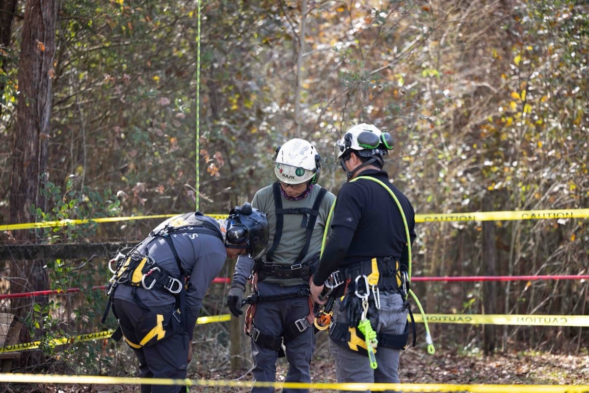 Three arborists checking climbing gear and harnesses before a job